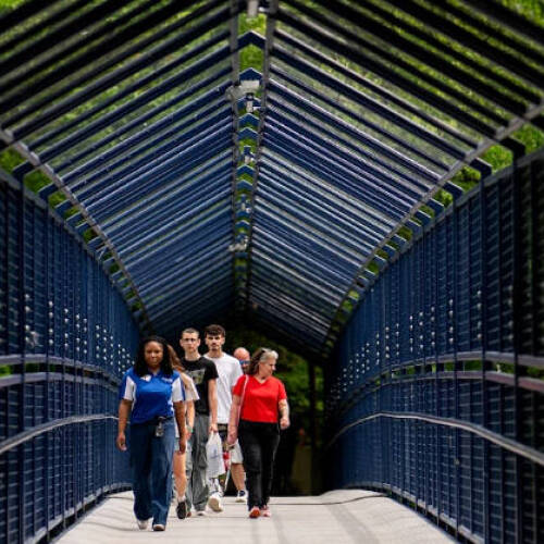 Tour group crossing the Ravine on a bridge